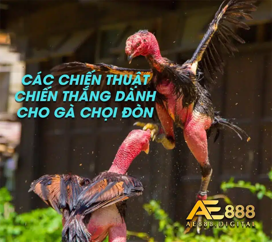 Sử dụng chiến thuật để mang về chiến thắng 