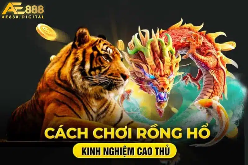 Để chơi được rồng hổ, người phát bài sẽ sử dụng từ 5 đến 9 bộ bài tây với 52 lá. Trong trò chơi, người chơi sẽ đặt cược vào 2 cửa là rồng và hổ. Bên nào có tổng điểm thấp hơn sẽ thua cuộc